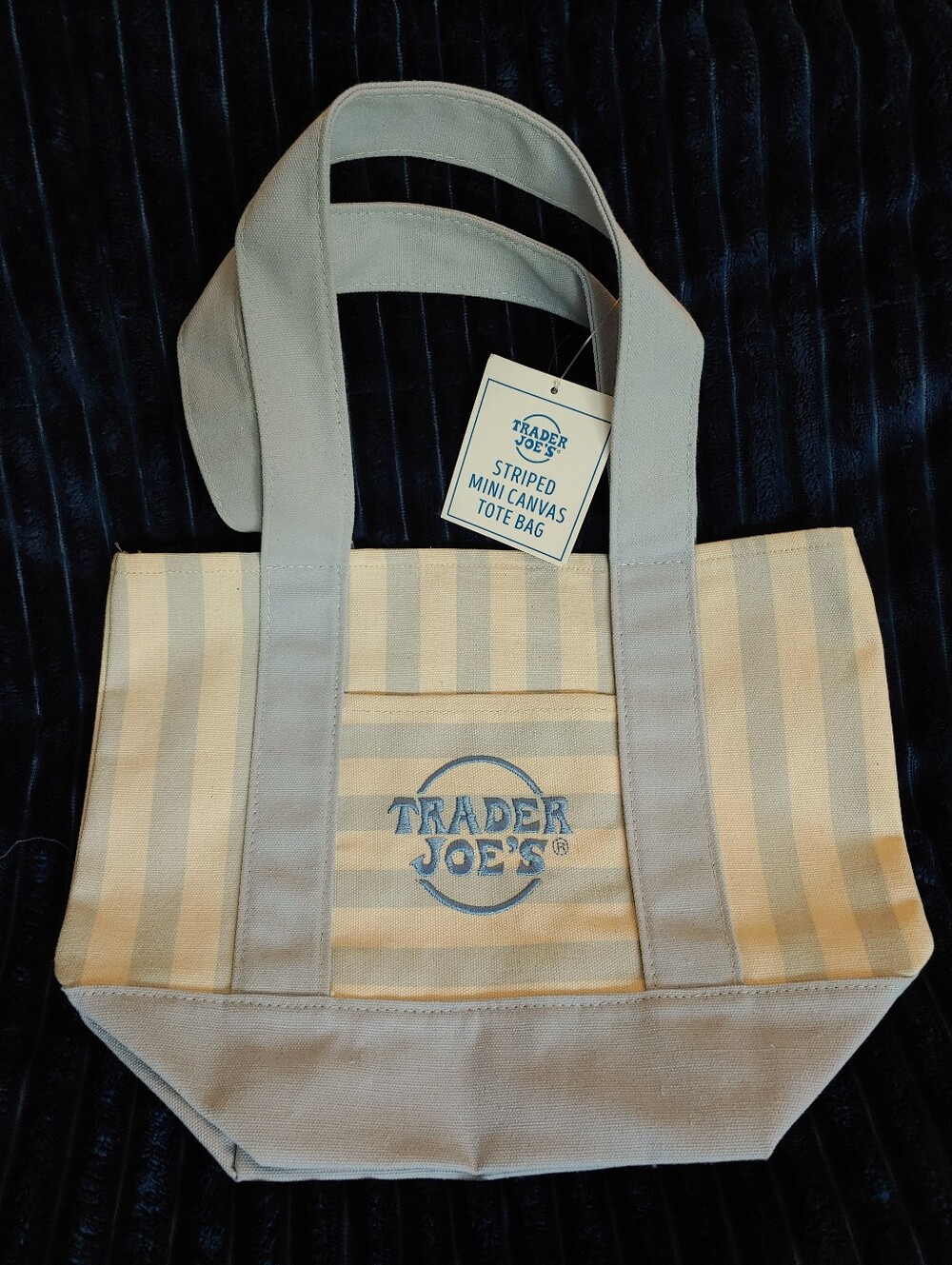 Beige And Blue Striped Canvas Mini Tote Bag
